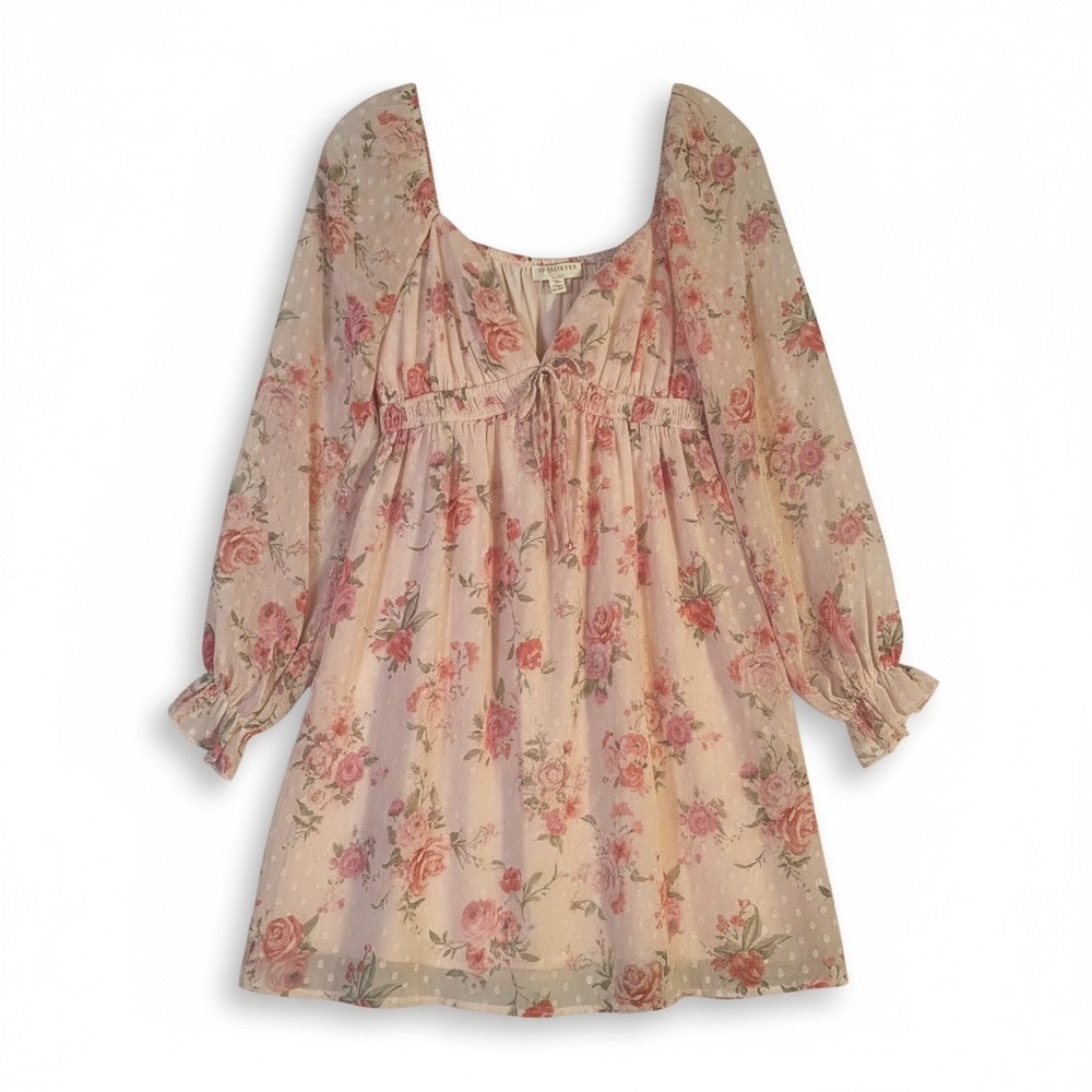 Thirty Thirty LA pink Rose Floral Sheer Babydoll Mini Dress  Jr Large